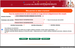 Screenshot du portail des auto-entrepreneur